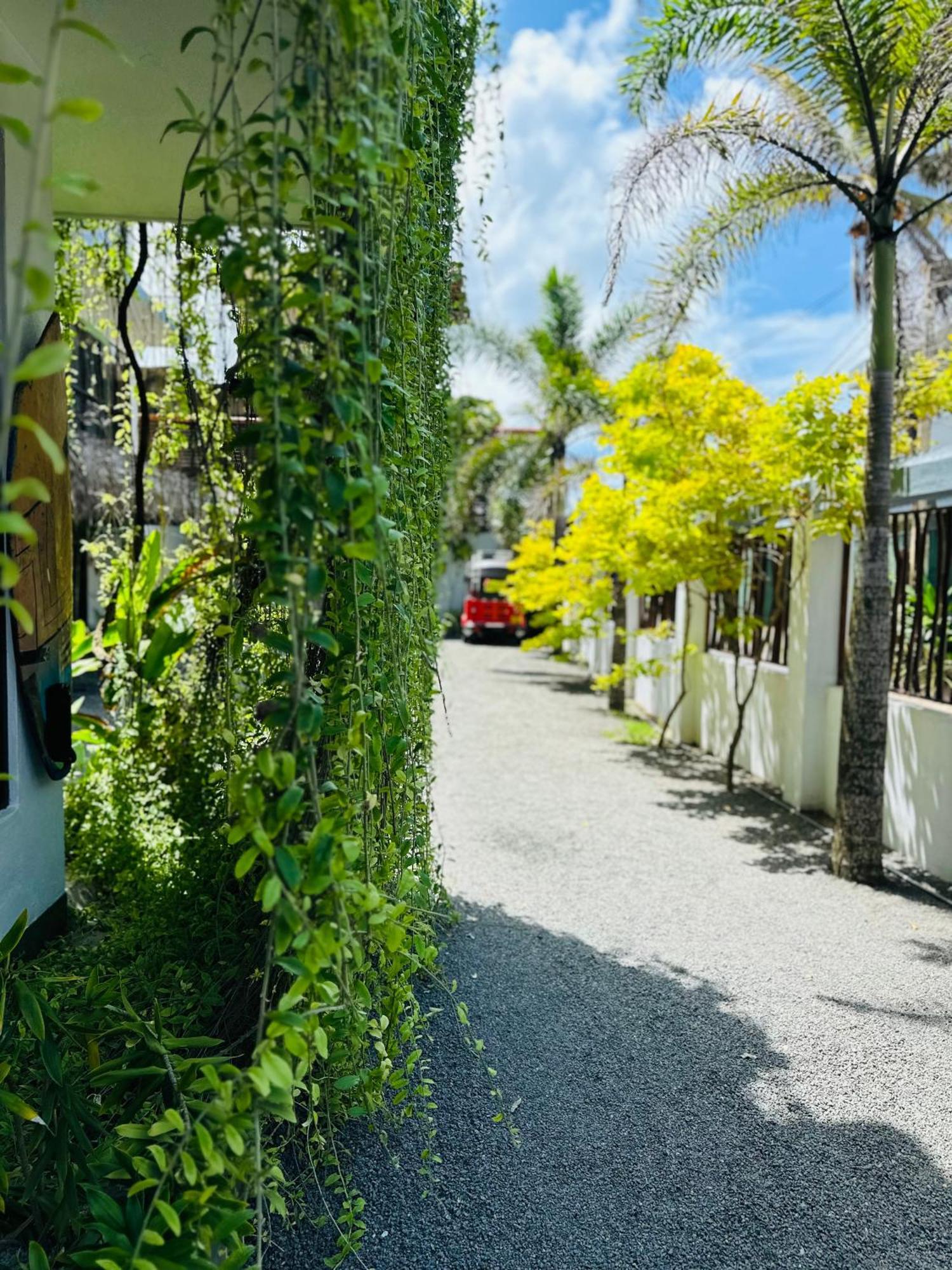 Cozy Sea View Inn Hikkaduwa Ngoại thất bức ảnh